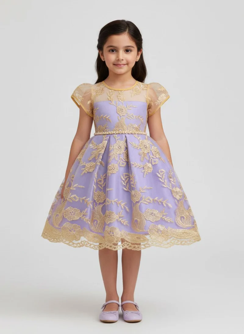 babyqlo Girls Lavender Embroidered Tulle Party Dress